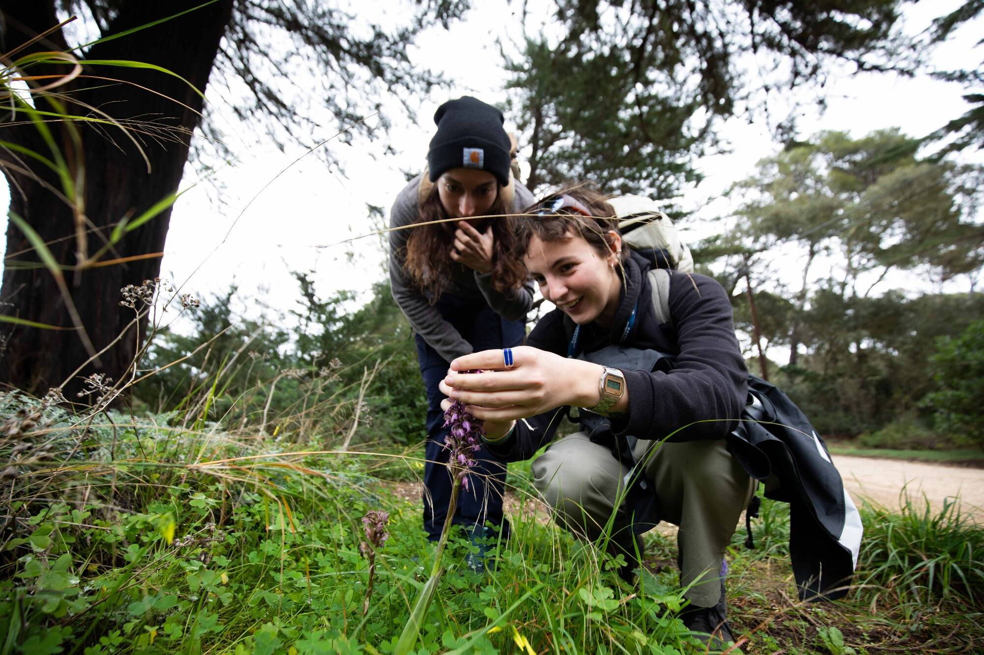 "C'est aussi pour développer l'écotourisme": l'université de Toulon propose une nouvelle formation scientifique unique en France