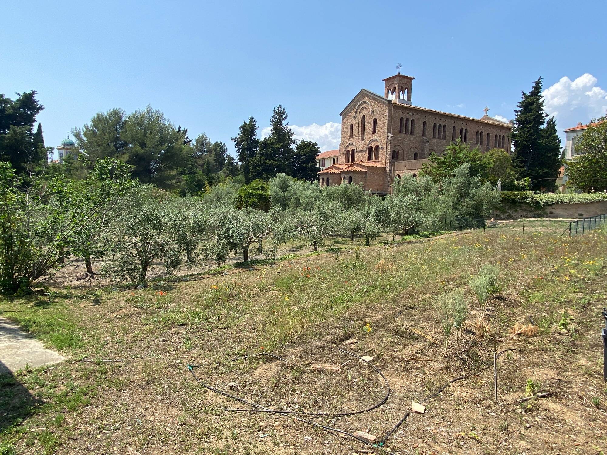 (Re)découvrez vos espaces verts à Hyères avec la 20e édition des "Rendez-vous aux jardins"