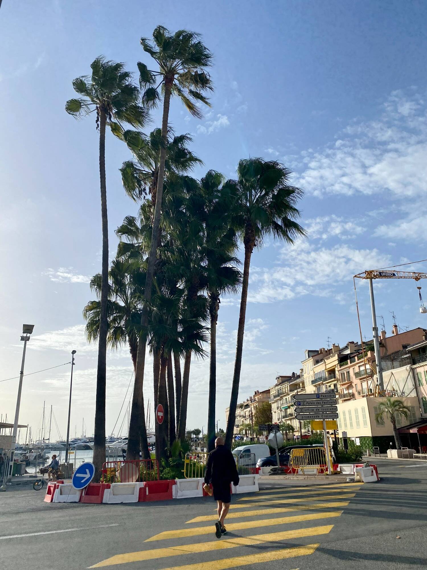 Vous l'avez vu? Un nouveau rond-point est sorti de terre à Cannes