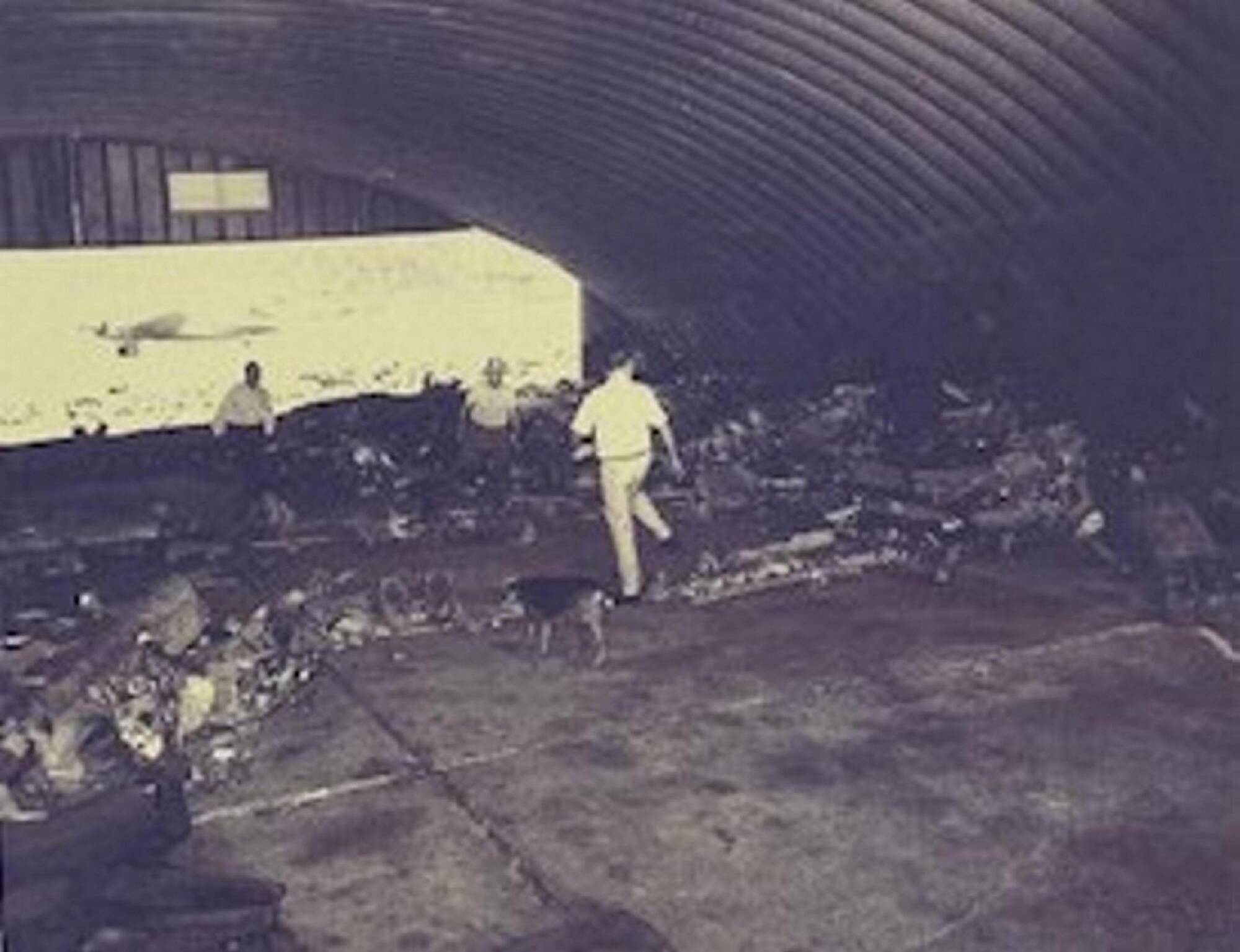 Un attentat est-il finalement à l'origine du crash d'un vol Air France en 1969?