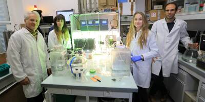 Francesca Casagli veut purifier les eaux polluées avec des microalgues