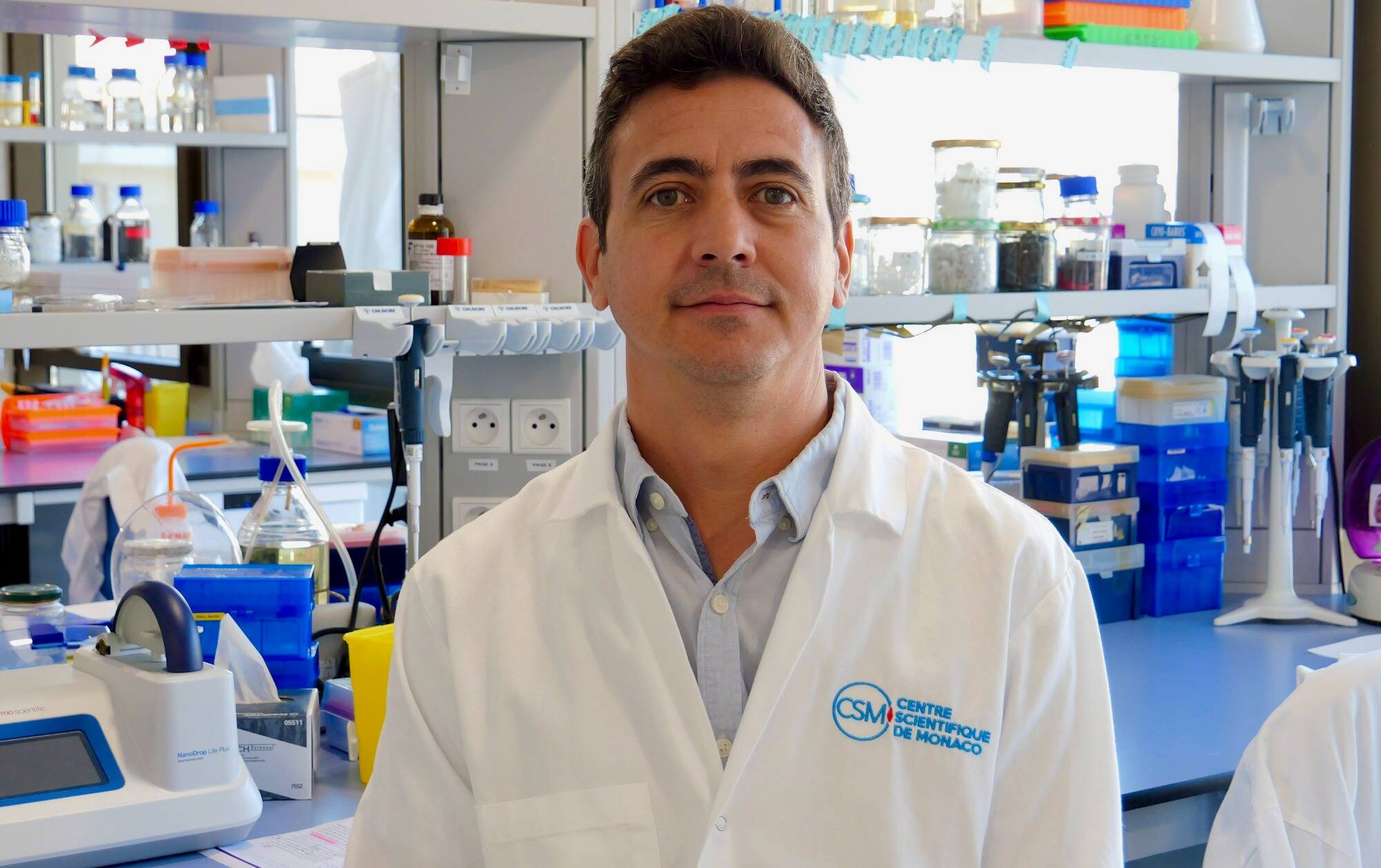 Cancer du cerveau: la clé dans le développement cérébral fStal?