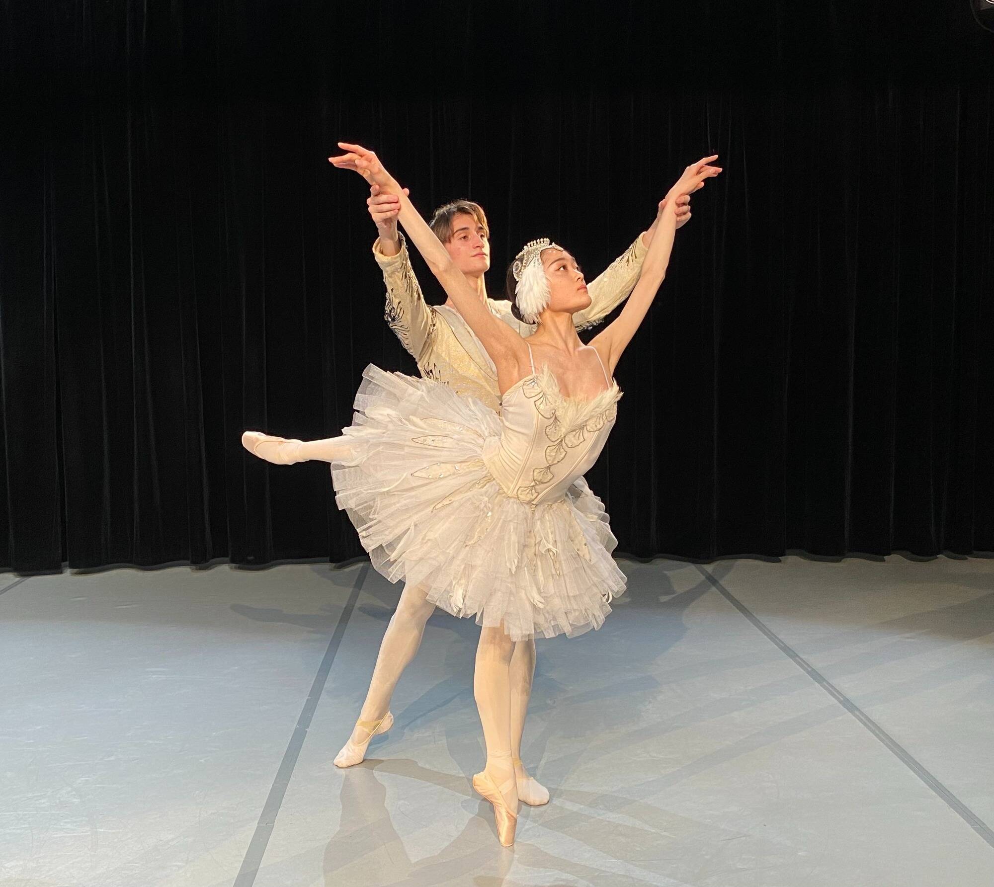 Théâtre, danse, musique, cirque... la tournée de l'été fleurit en Dracénie