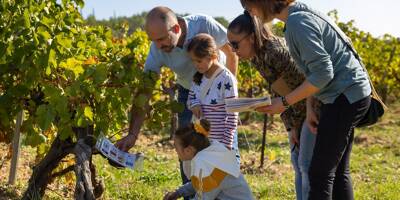 Amateurs de bon vin ? Rendez-vous du 19 au 22 octobre dans les domaines participants Fascinant week-end