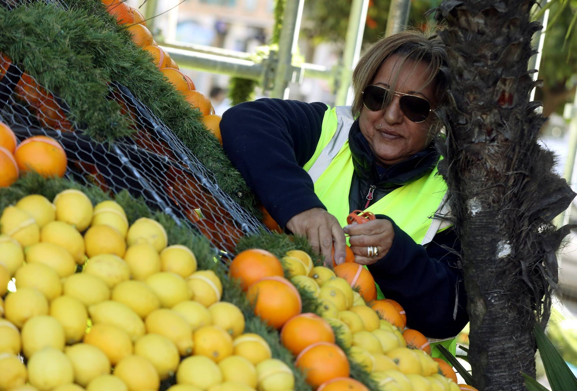 À quelques jours de la 89e Fête du citron, c'est le grand rush pour mettre les fruits sur les structures