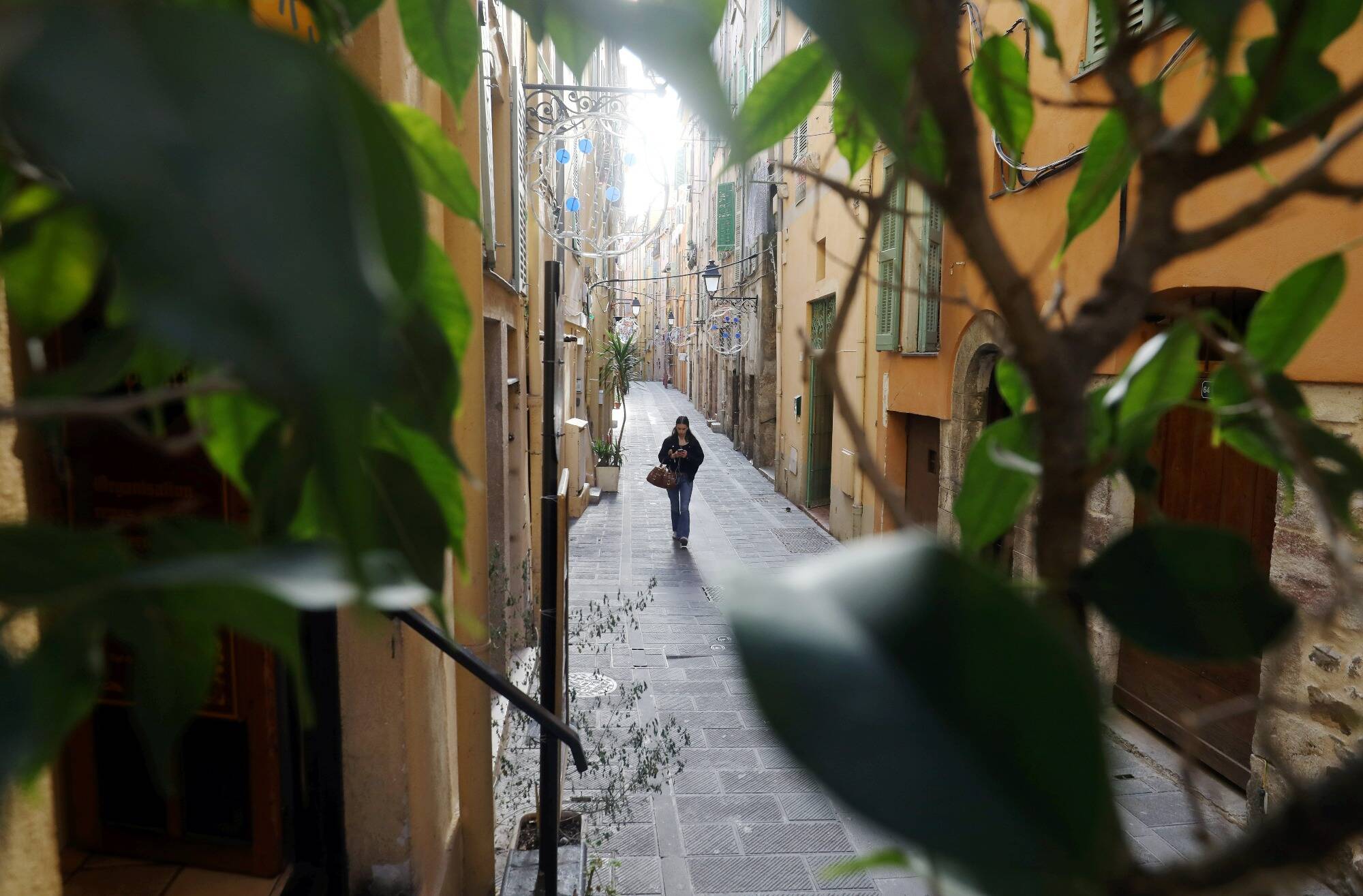"C'est bête à dire mais ça fait du bien au moral": cette ville de la Côte d'Azur veut végétaliser davantage ses rues