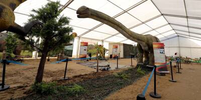 Elle remporte un grand succès en Europe, l'exposition Dinosaurs World débarque à Menton