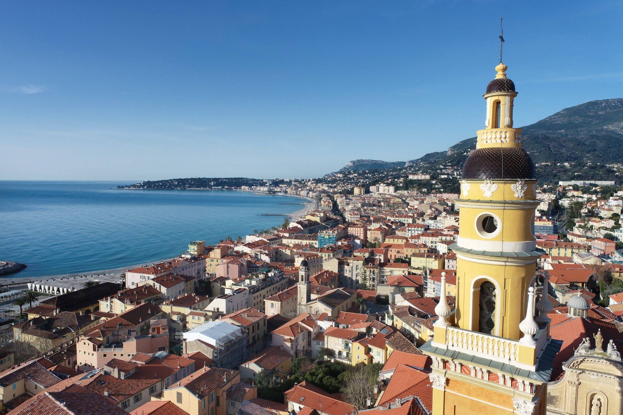 Papillons, oiseau, plantes... Focus sur ces espèces rares que l'on peut observer à Menton