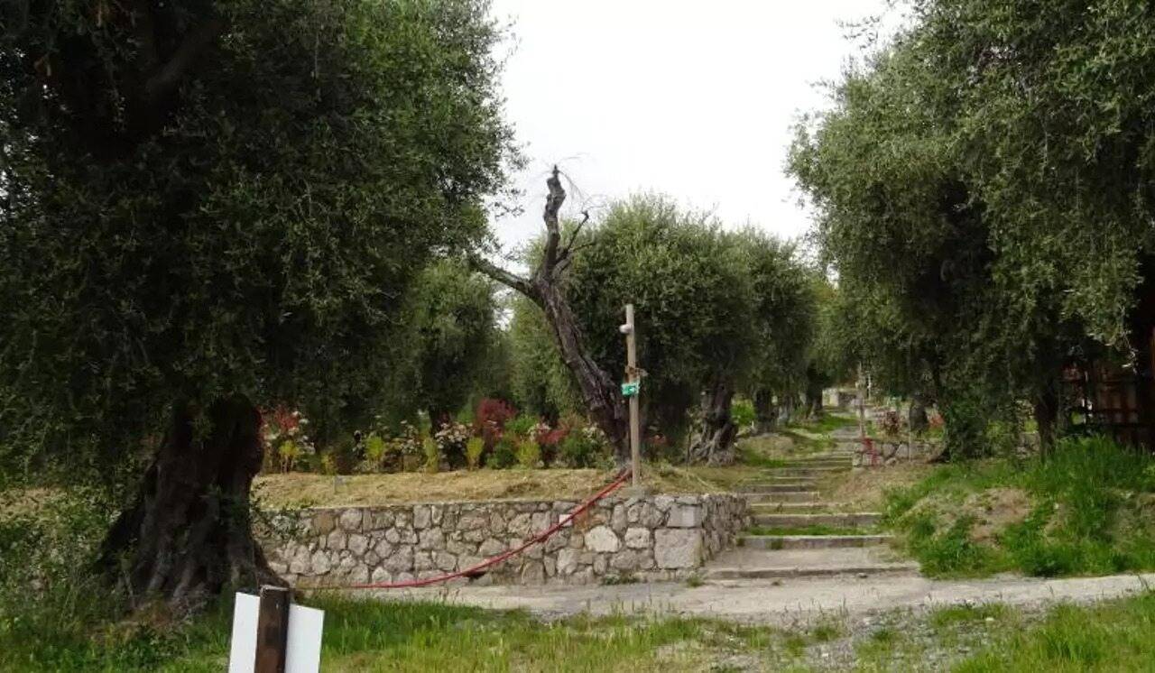 Véritable poumon vert en plein coeur de ville boudé par les locaux, que devient ce parc de Menton?