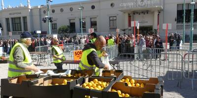 À 3 euros les 3 kilos, la vente des agrumes de la 90e Fête du citron attire les foules à Menton