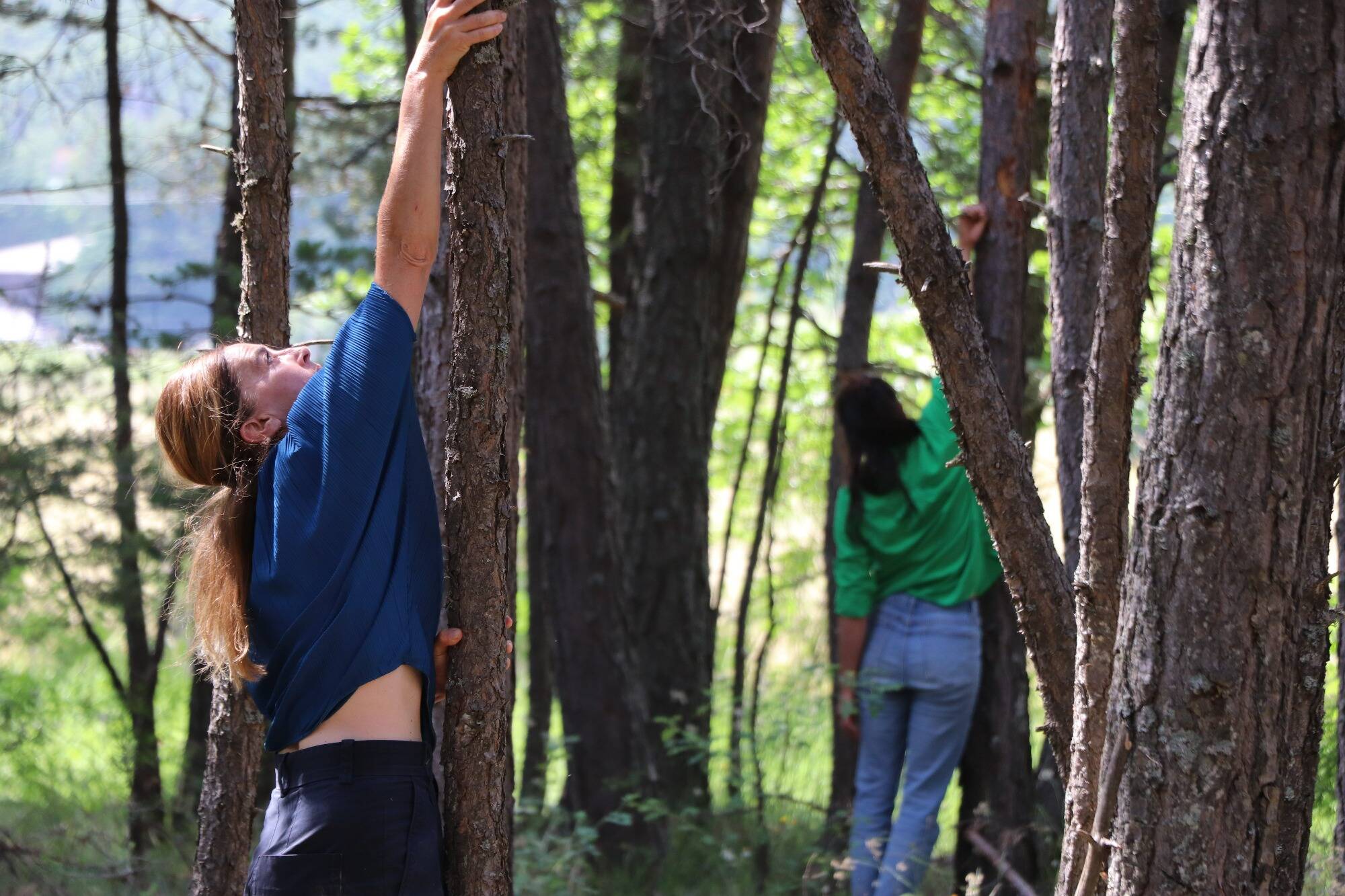 "Pour rappeler notre connexion intime avec elle": la Terre mise à l'honneur pour le 4e festival "Plein Air" à Breil-sur-Roya