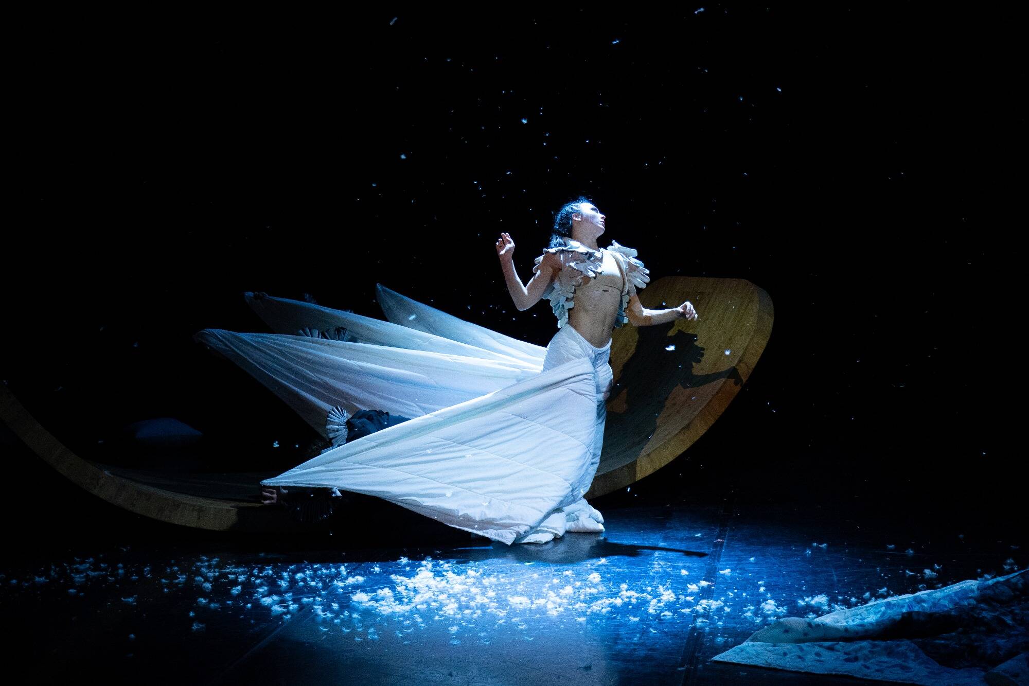 Danse, humour, concerts, spectacles... Voici les rendez-vous culturels à ne pas rater à Menton en 2025