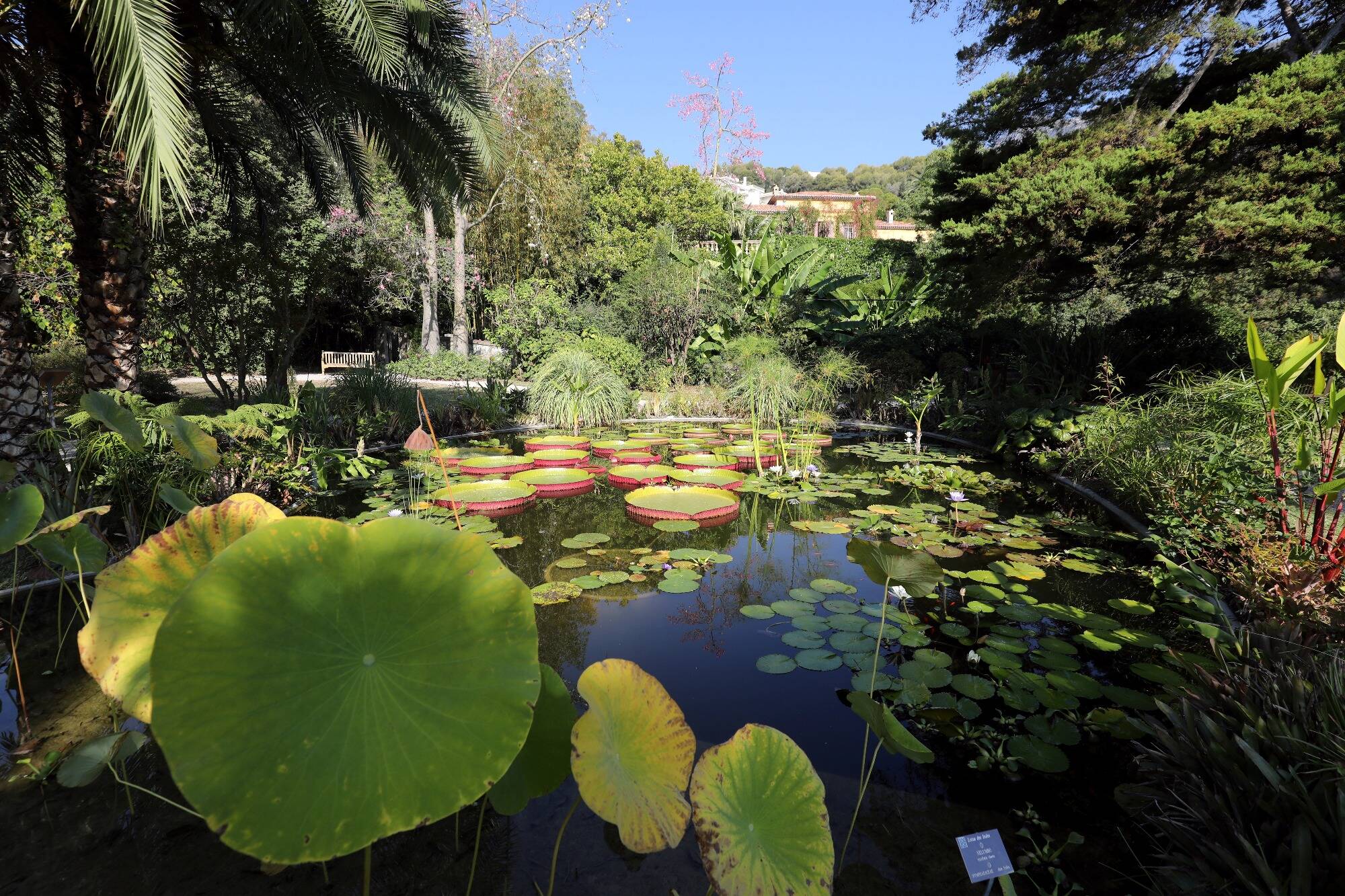 Ce qui vous attend pour ce week-end de Pentecôte dans les jardins de Menton