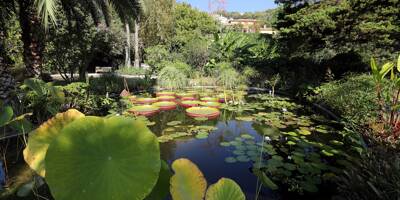 Ce qui vous attend pour ce week-end de Pentecôte dans les jardins de Menton