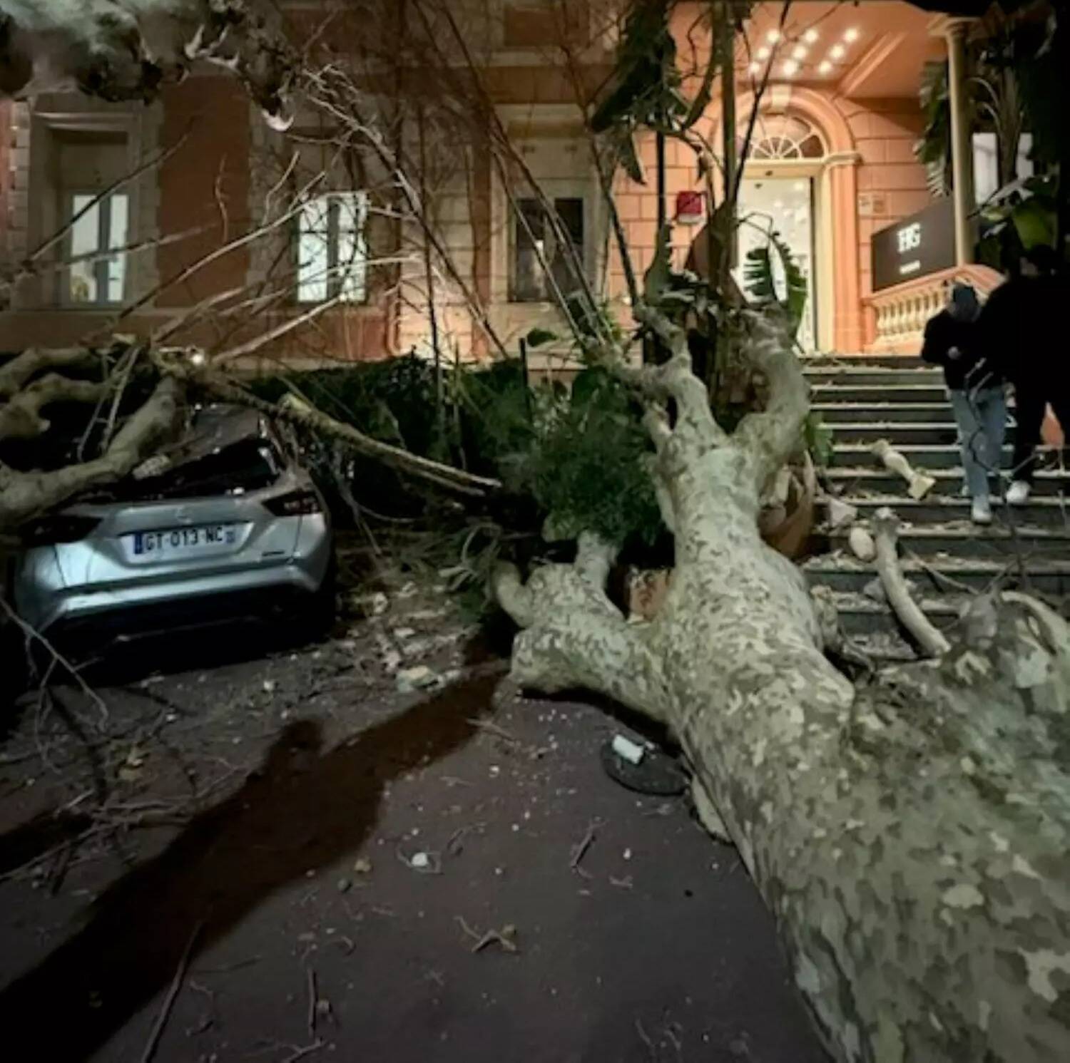 "Il aurait pu y avoir des morts": un immense platane malade s'abat sur un hôtel de luxe à Menton