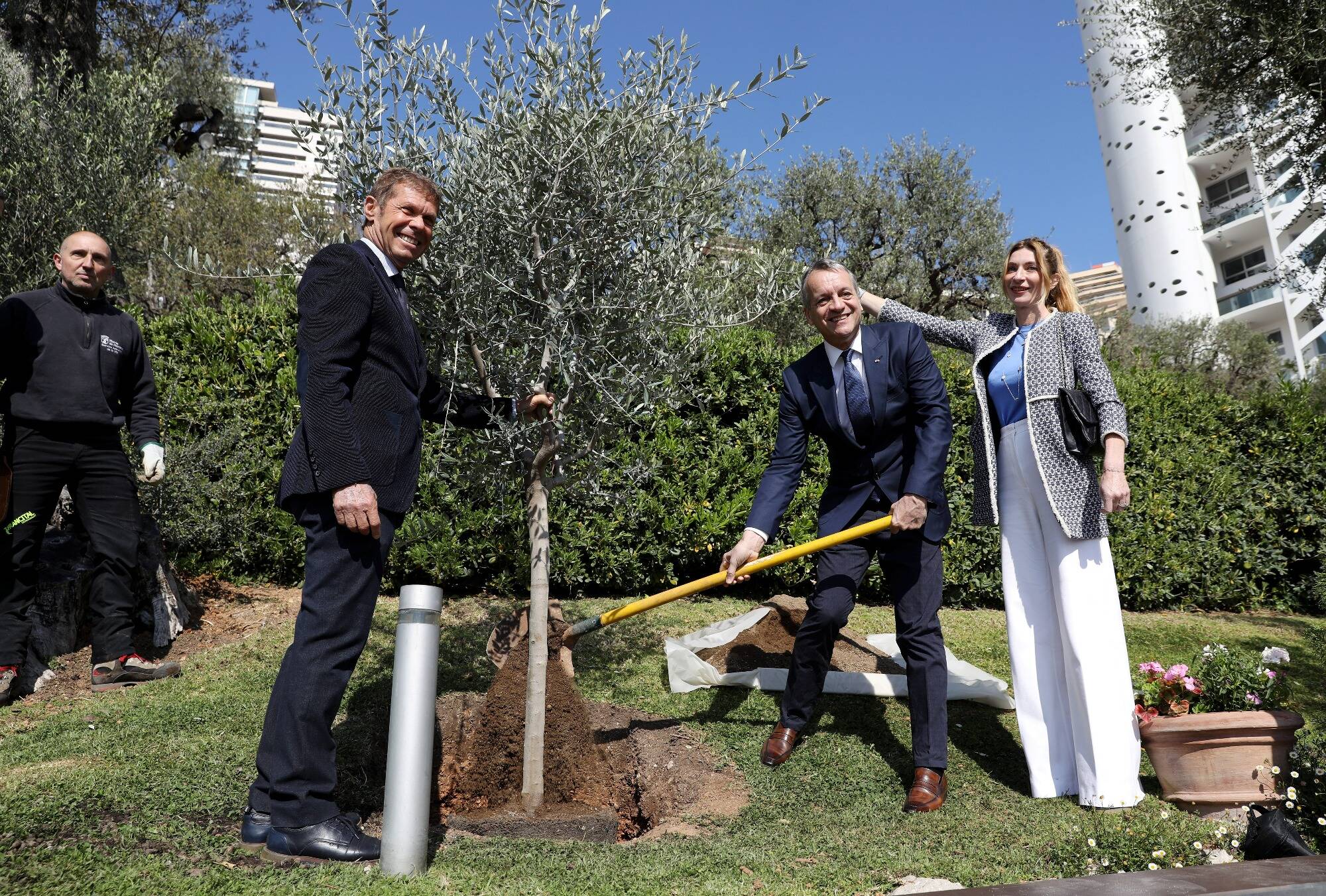 13.000 arbres ont été plantés par la mairie de Monaco depuis 2008