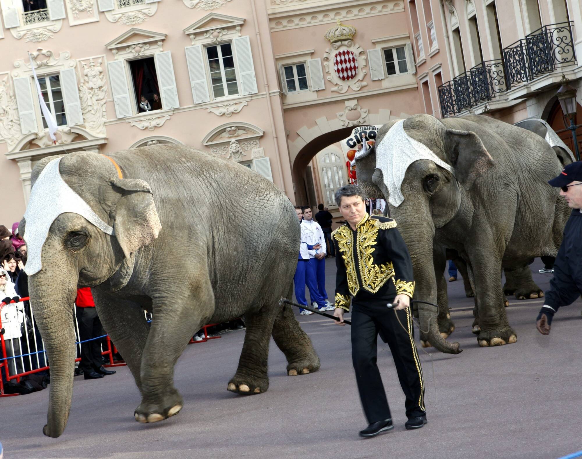 Une grande parade en ville et un spectacle sur la place du Palais princier en janvier pour les 50 ans du festival du cirque de Monte-Carlo
