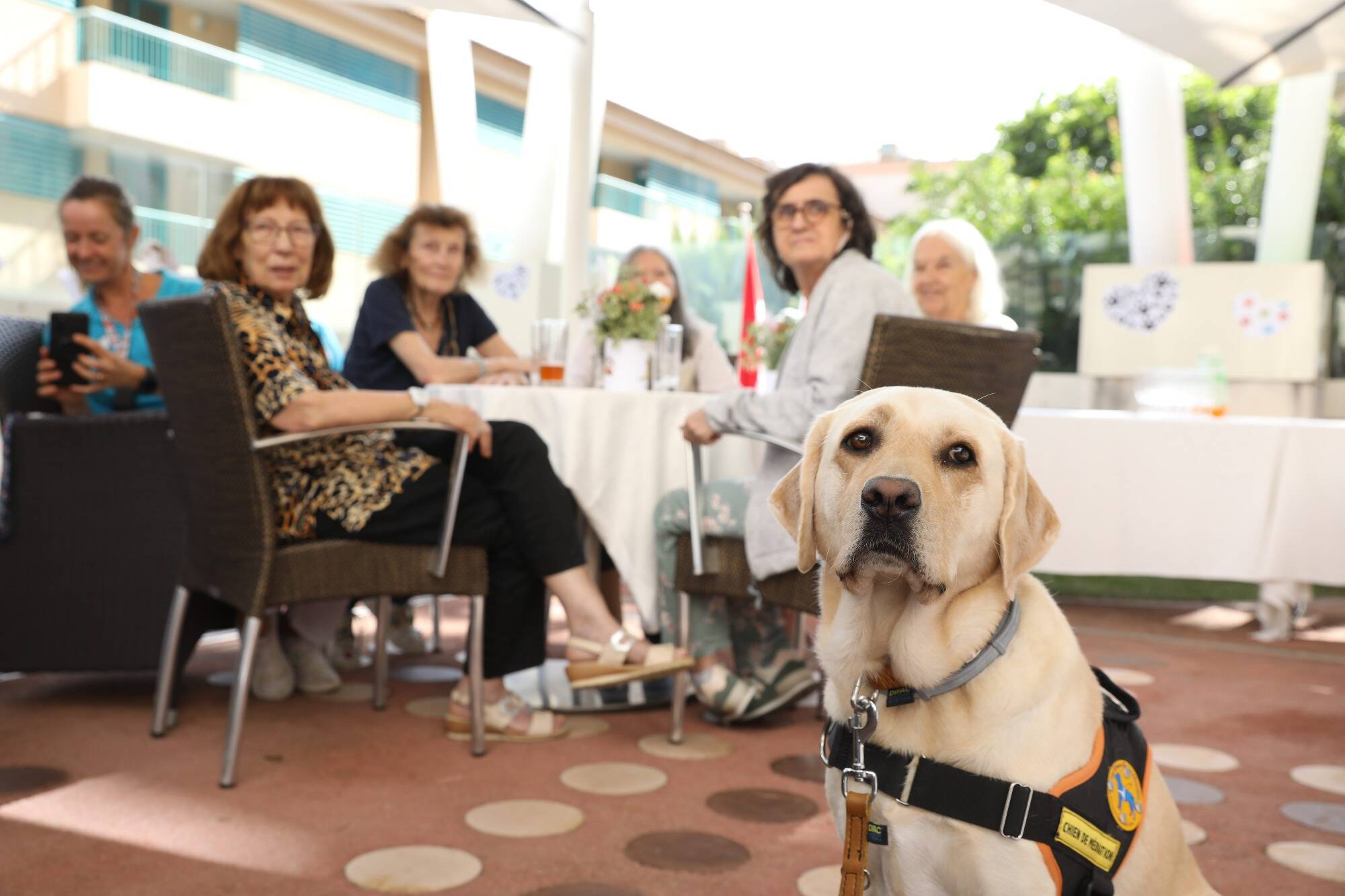 "Elle est une salariés comme les autres": Sépia, la nouvelle recrue de l'hôpital Princesse Grace à Monaco