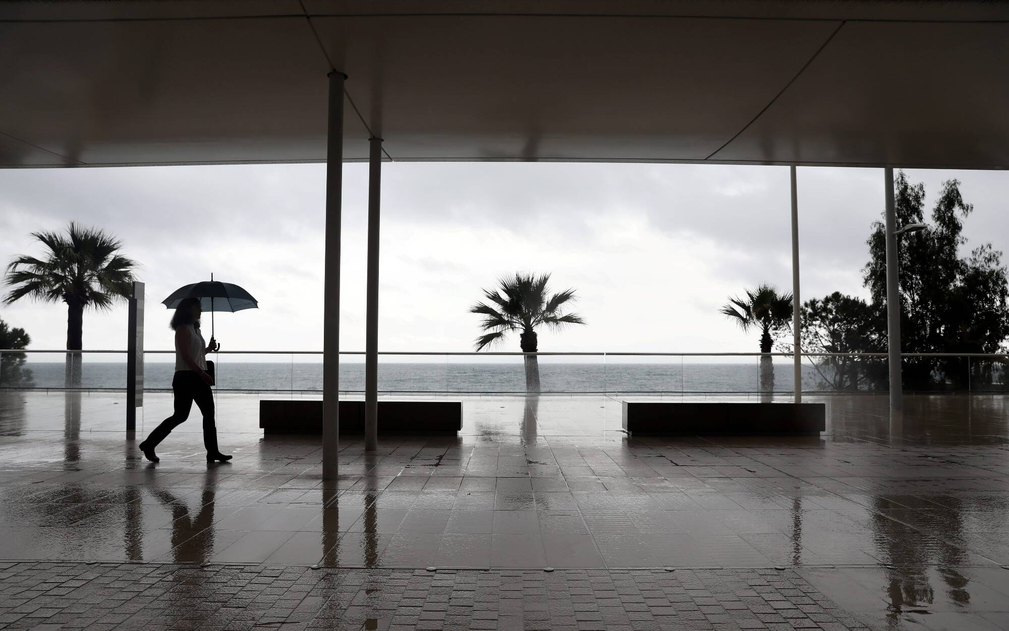 C'est un record, l'année 2024 a été plus chaude et une des plus pluvieuses à Monaco