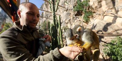 Recueillir, soigner et protéger: immersion dans les coulisses du jardin animalier Rainier-III à Monaco
