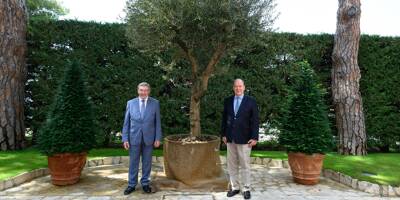 Une délégation du Var remet un olivier d'une trentaine d'années au prince Albert II à Monaco