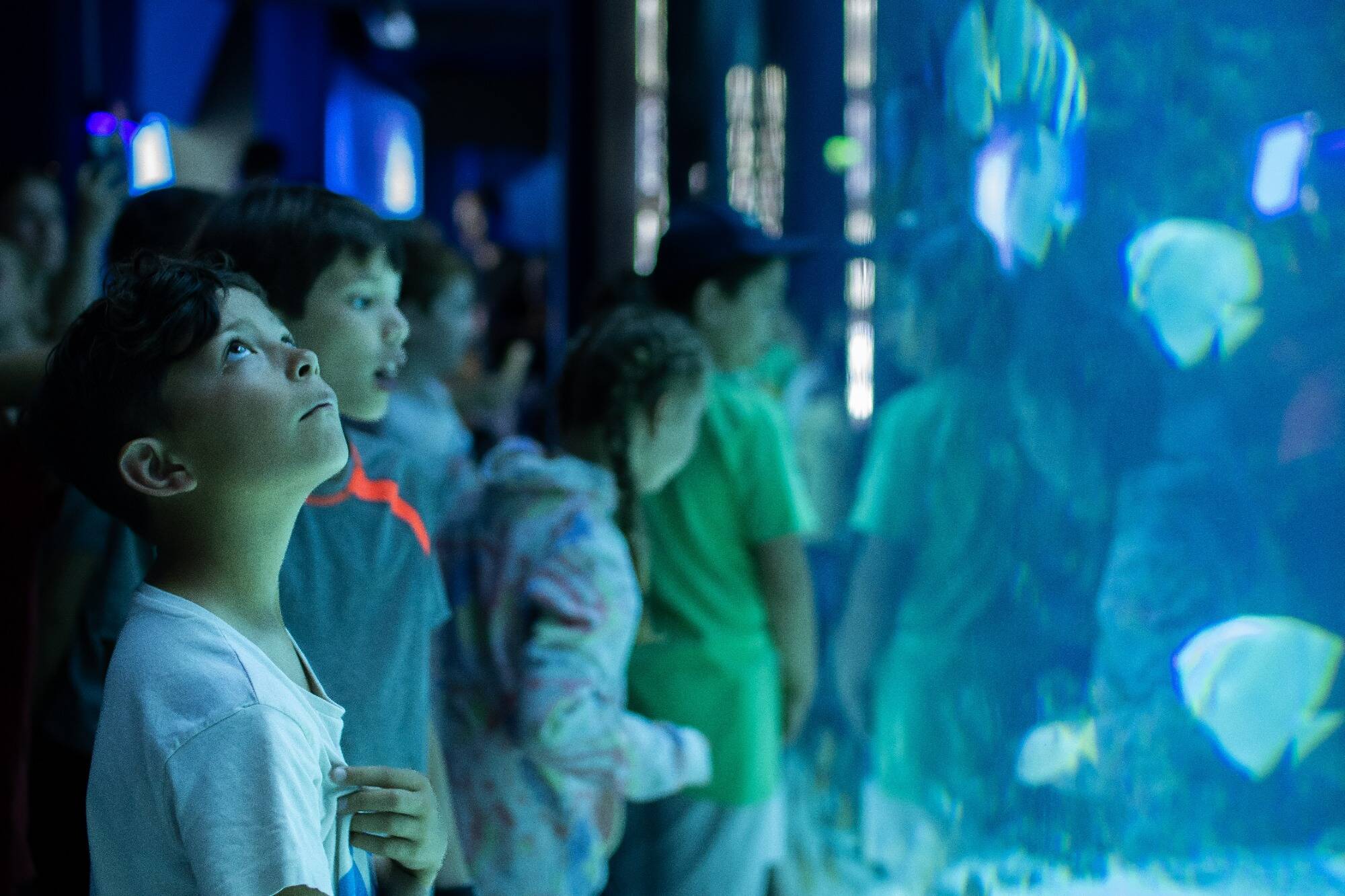 Comment la jeune génération se mobilise pour l'Océan à Monaco?