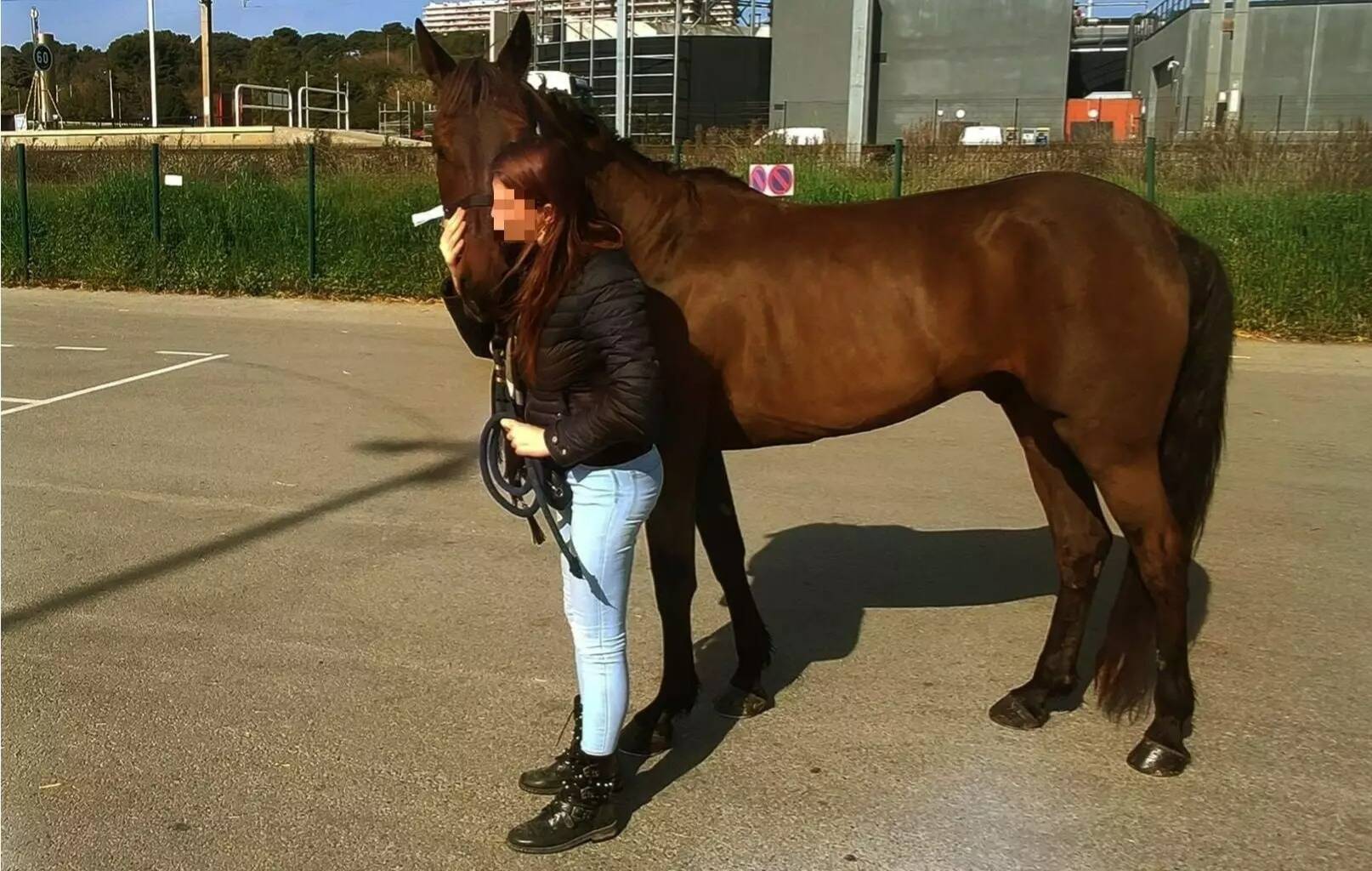 Il lui fallait 3.000 euros pour éviter l'abattoir à son cheval, un généreux donateur de Monaco le sauve
