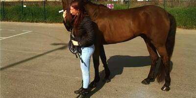 Il lui fallait 3.000 euros pour éviter l'abattoir à son cheval, un généreux donateur de Monaco le sauve