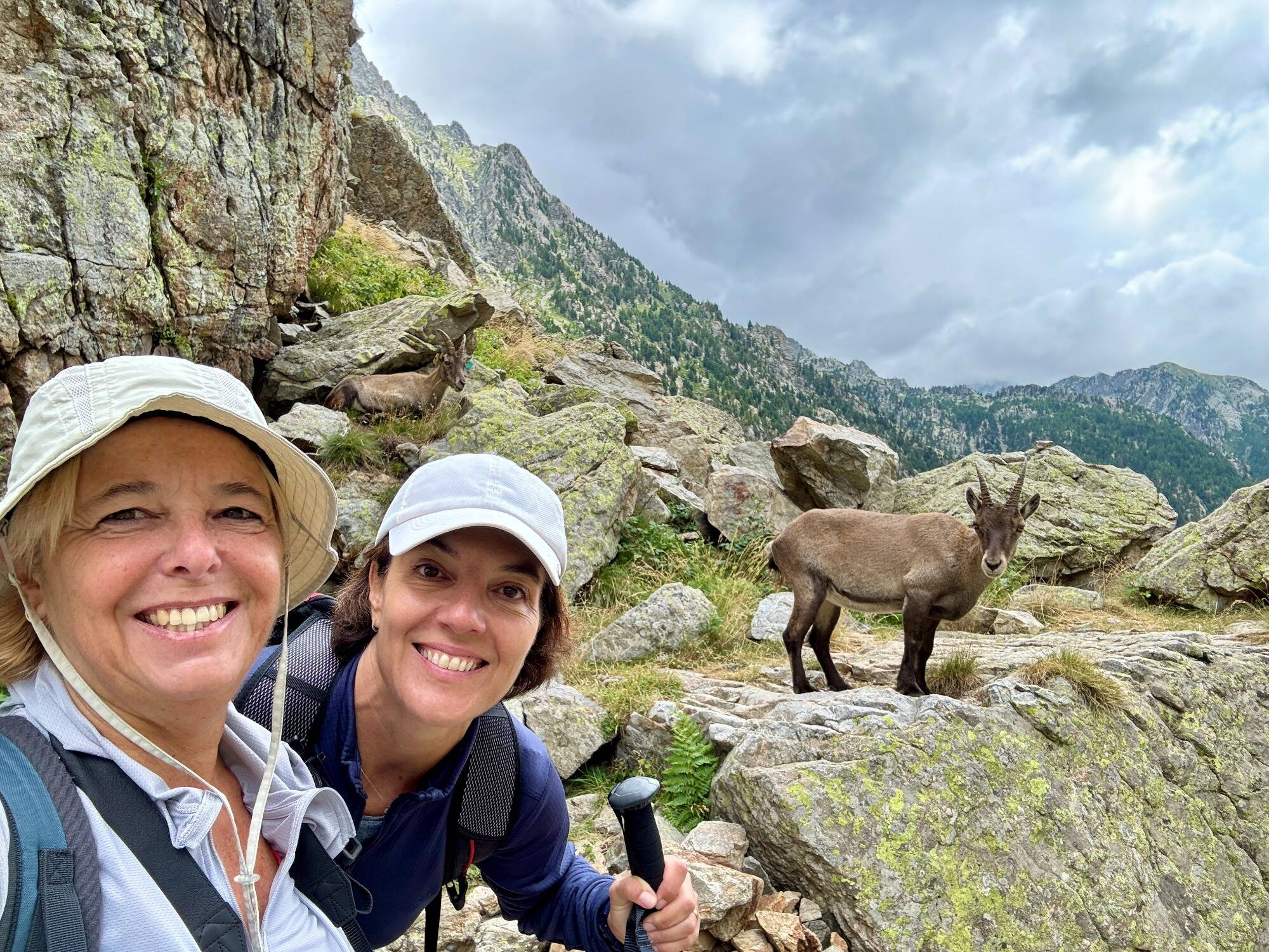 Ce sera une épreuve physique: Les Suricates de Monac' se lancent à l'assaut du Mont-Blanc au profit de personnes amputées
