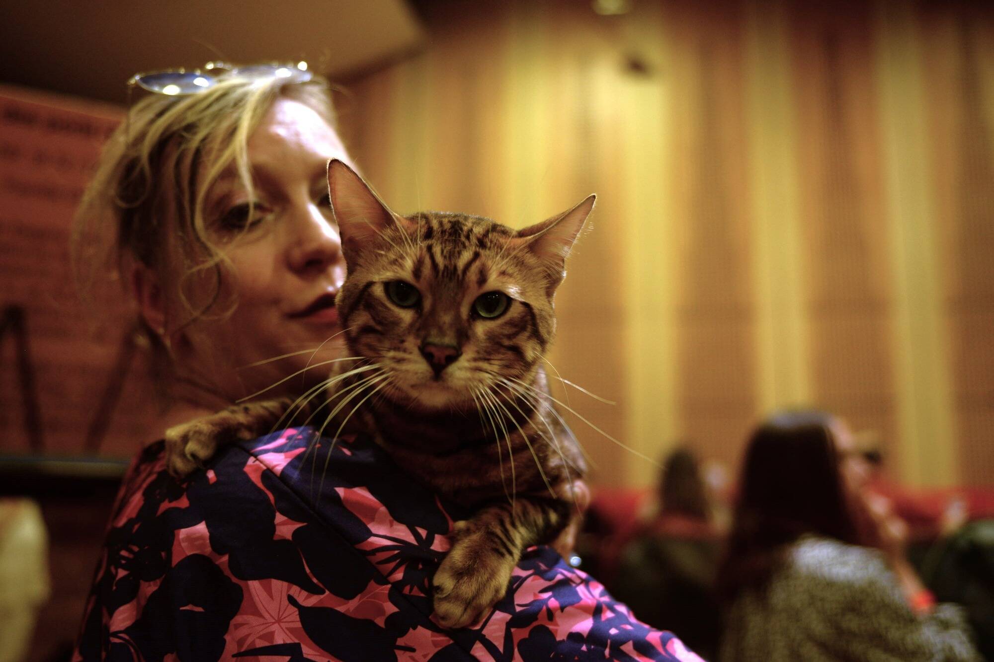 L'Exposition féline c'est jusqu'à ce dimanche soir à l'Espace Léo-Ferré de Monaco