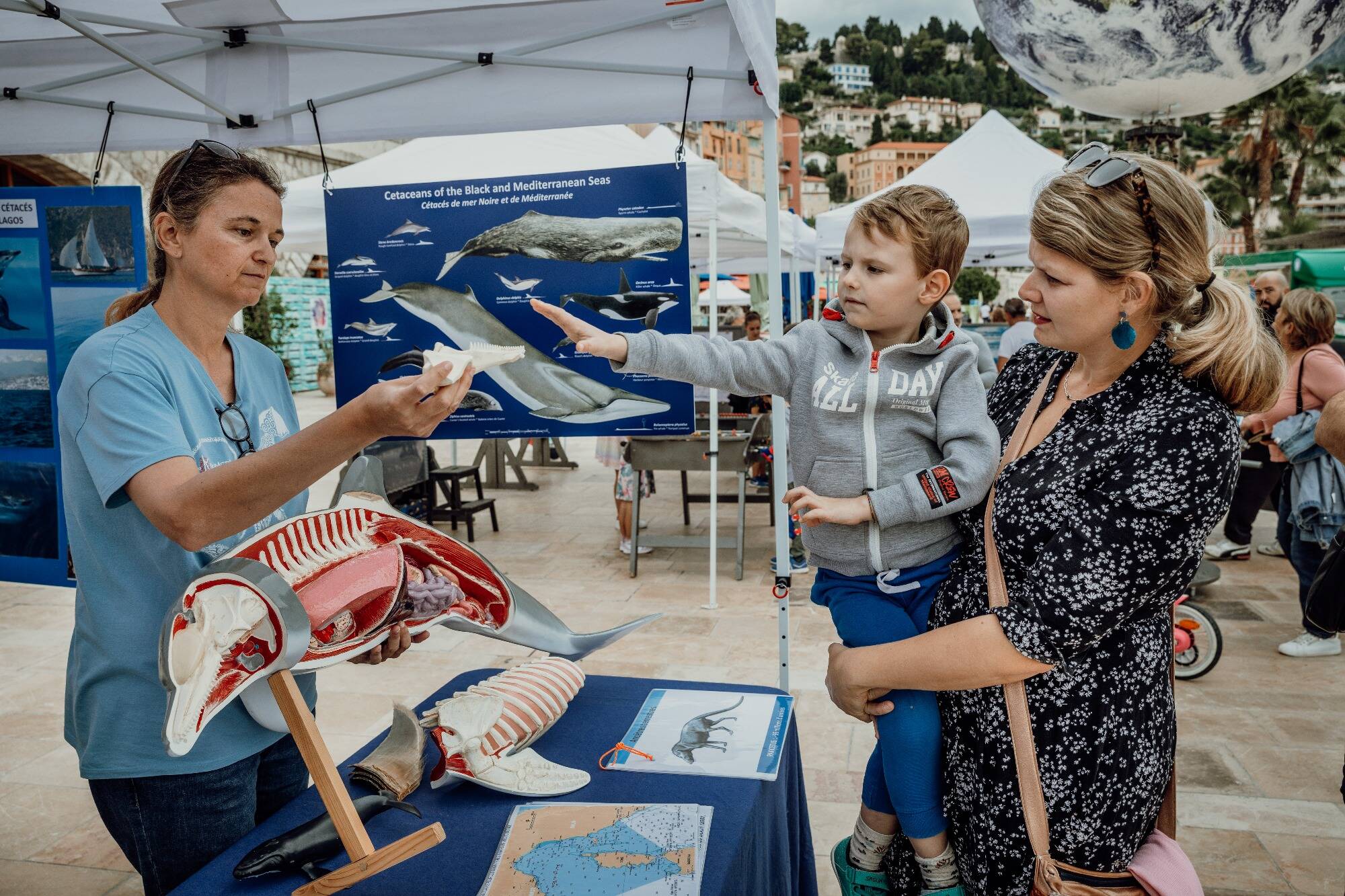 Sorties en voilier, balades en bateau, rallye pour enfants... Ce qui vous attend, ce week-end, aux Journées de la mer à Menton