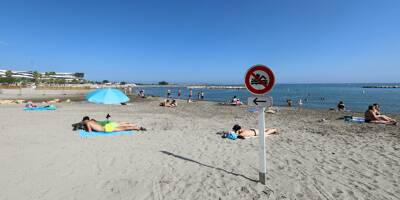 La baignade est interdite mais les baigneurs sont là. Que se passe-t-il sur la plage de Saint-Laurent-du-Var?