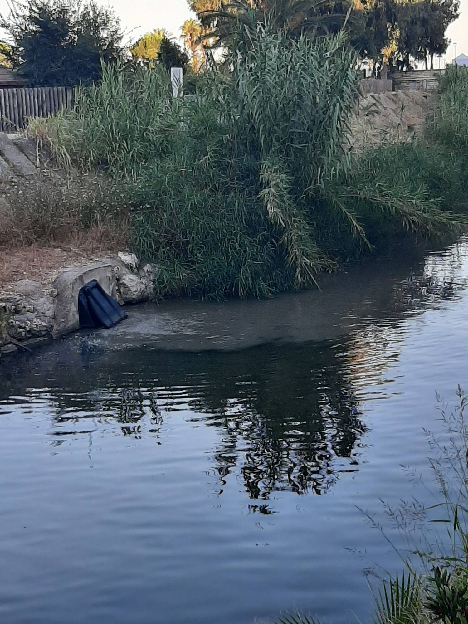 "Des eaux usées déversées accidentellement": on en sait plus sur la pollution dans La Cagne