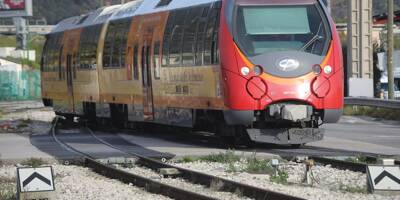 Deux lignes du train des Pignes qui relient Nice à Digne menacées: la CGT en grève jusqu'en août
