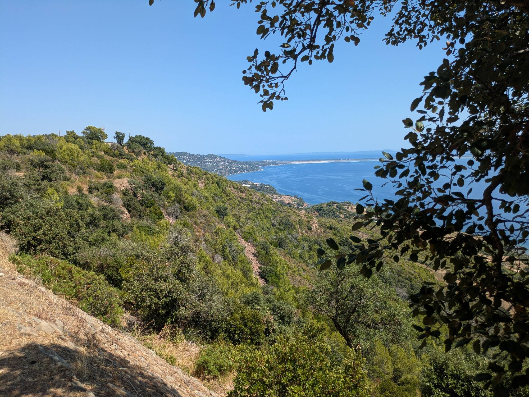 "La végétation a une capacité incroyable à se régénérer": 20 ans après, il n'y a quasiment plus de traces de l'incendie de la Colle Noire au Pradet