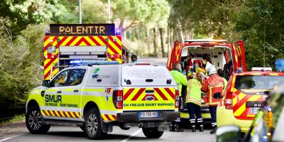 Ce que l'on sait de l'accident grave provoqué par la chute d'un pin de 22 mètres à Saint-Raphaël