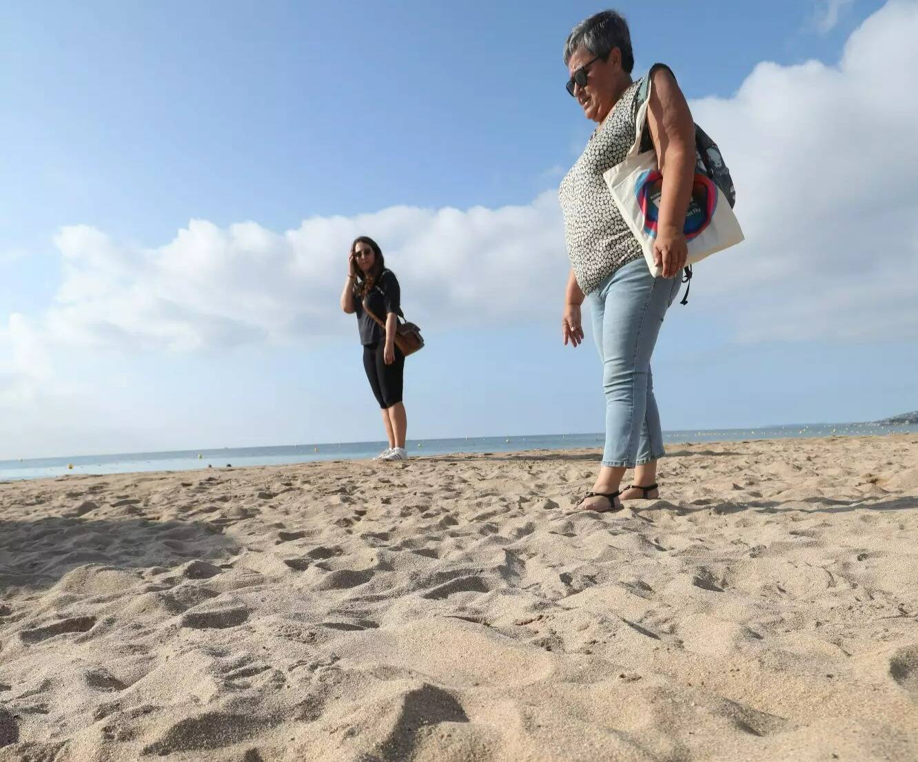 Des bénévoles de l'association Marineland d'Antibes sillonnent les plages de Fréjus pour surveiller la nidation des tortues
