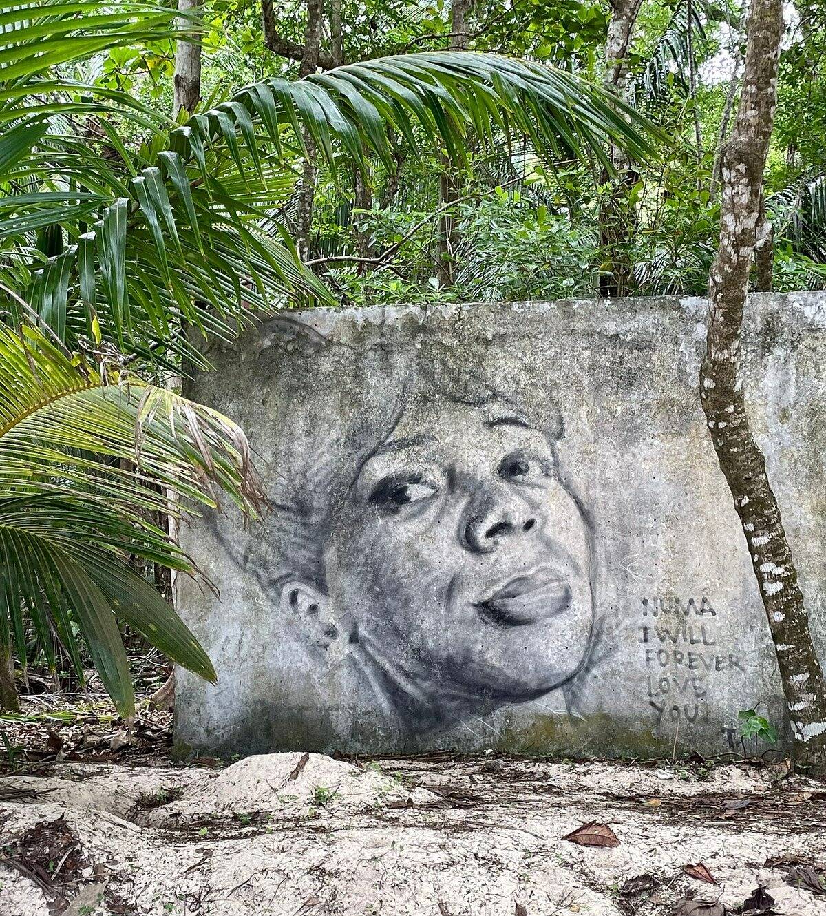 Suicide ou féminicide? Le procès d'Otom se poursuit aux Seychelles, la défense du graffeur niçois se fissure