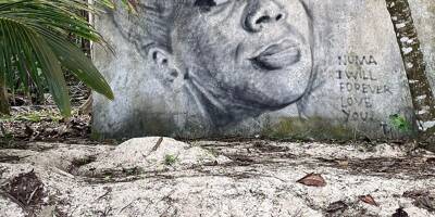 Suicide ou féminicide? Le procès d'Otom se poursuit aux Seychelles, la défense du graffeur niçois se fissure