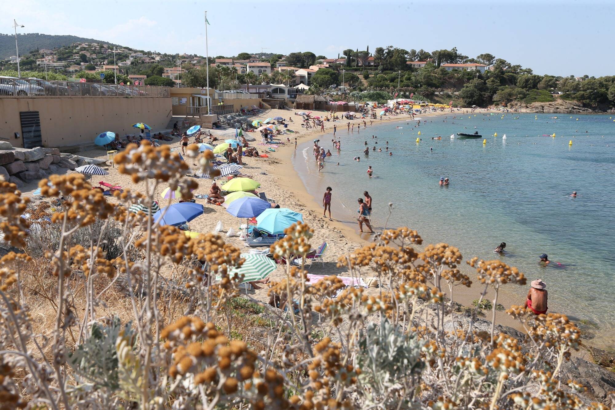 Covid-19: la situation est-elle meilleure qu'il y a un an dans le Var? On a comparé les indicateurs