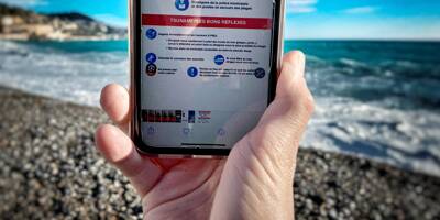 Alerte au tsunami: dans quels autres cas d'événements graves votre téléphone peut-il recevoir un SMS strident?