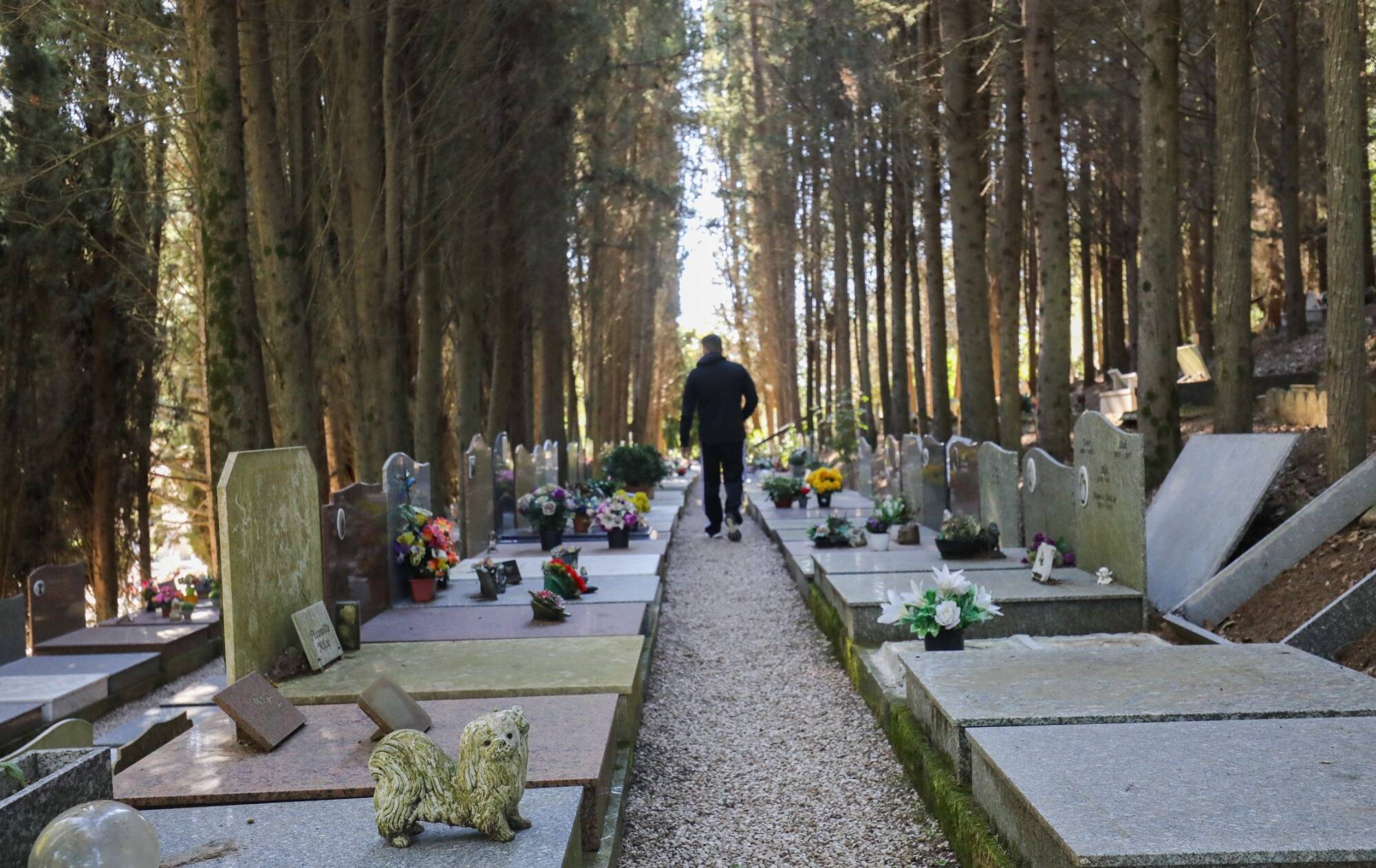 Pourquoi le 3 janvier est le jour le plus meurtrier de l'année en France