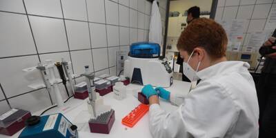 Suspicion de cas de maladie de Creutzfeldt-Jakob, les travaux en laboratoire sur les prions suspendus