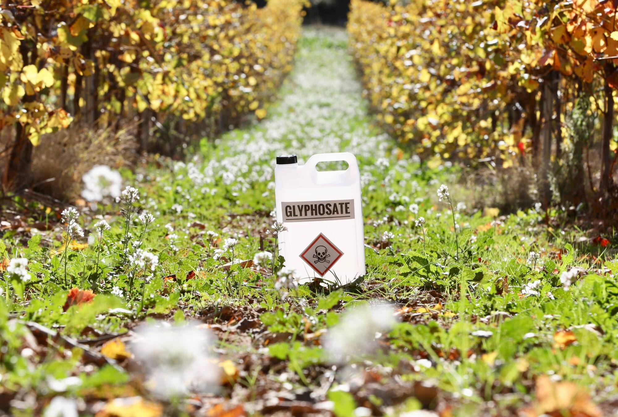 Il en revendait sur Ebay et Leboncoin: un homme condamné à 20.000 euros d'amende pour trafic de glyphosate