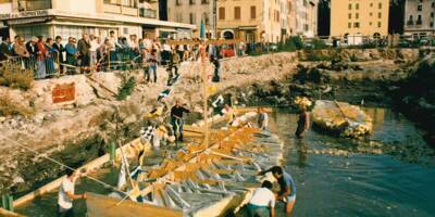 Il y a 35 ans, Toulon découvrait Telo Martius, un port antique caché dans ses entrailles
