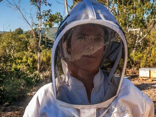"Les deux dernières années ont été terribles": le dérèglement climatique impacte déjà la production de miel dans le Var