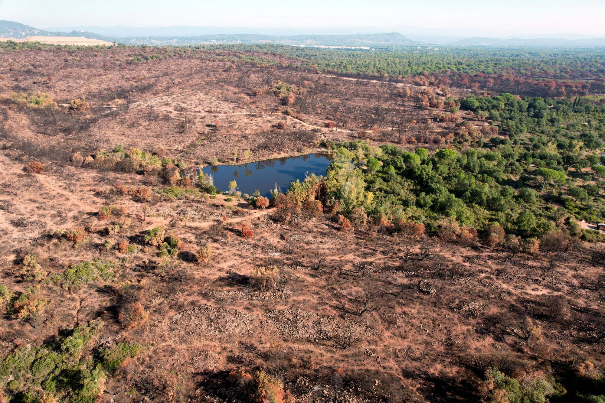 Une aide exceptionnelle votée par la Région pour les sinistrés de l'incendie de cet été dans le Var
