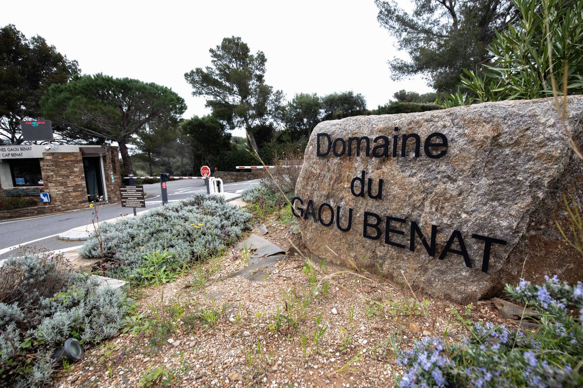 "Très casanier", adoption d'un caniche, pêche en mer, entrecôte bleue... À quoi ressemble la vie secrète de Michel Sardou dans le Var?