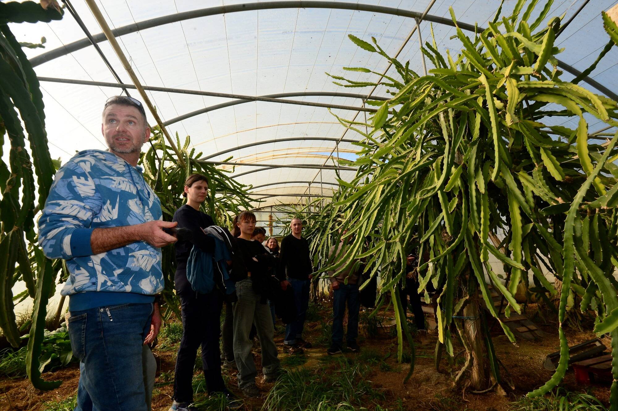 Des maraîchers échangent leurs réussites et leurs échecs pour faire progresser le secteur dans le Var