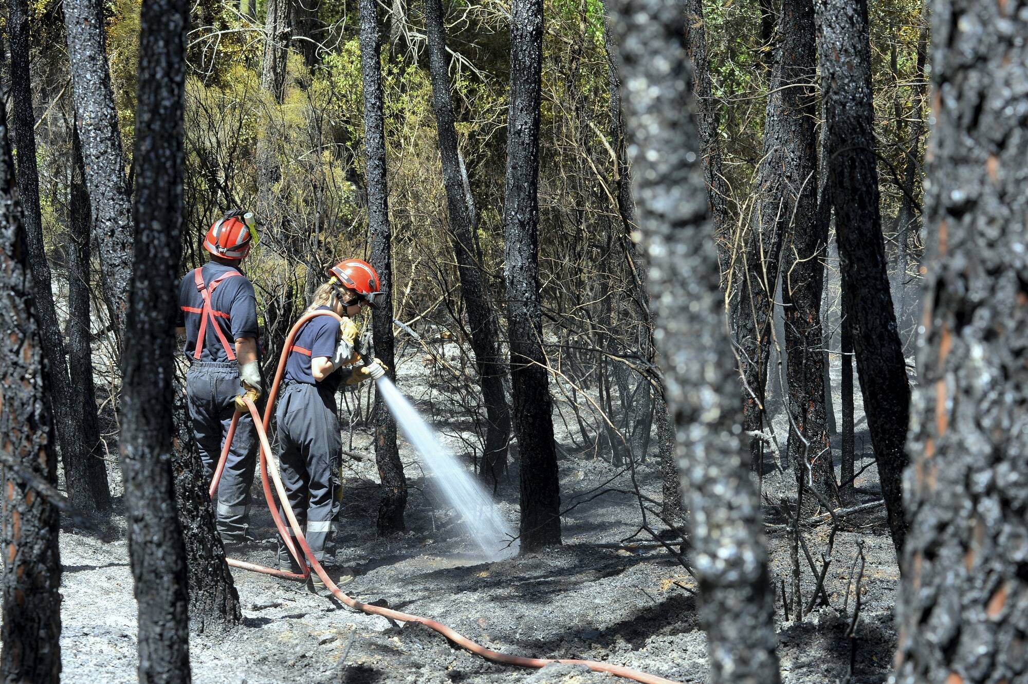 Les questions que l'on se pose après le premier gros feu de l'année dans le Var, qui a parcouru 600 hectares